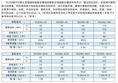 DLDS單片雙磁路電磁離合